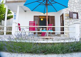 Victorious VIScovery Red