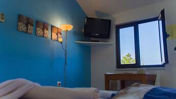 Victorious VIScovery Red