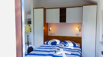 Victorious VIScovery Red