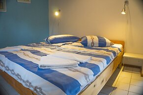 Victorious VIScovery Red