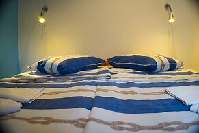 Victorious VIScovery Red