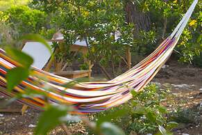 Victorious VIScovery Red