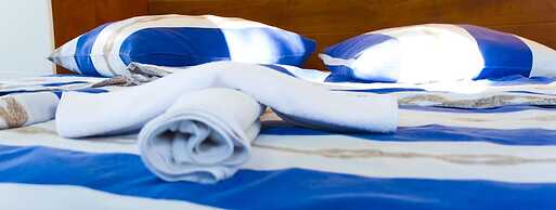 Victorious VIScovery Red