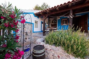 Victorious VIScovery Yellow