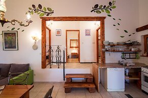 Victorious VIScovery Yellow