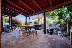 Victorious VIScovery Yellow