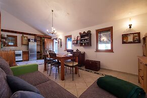 Victorious VIScovery Yellow