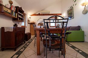 Victorious VIScovery Yellow