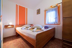 Victorious VIScovery Yellow