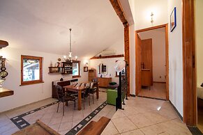 Victorious VIScovery Yellow