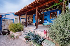 Victorious VIScovery Yellow