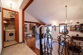 Victorious VIScovery Yellow