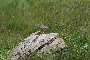 Cosy Modern Nordic Lodge w/ Loch View & Log Burner