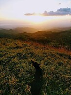 Sofi's Hostel Monteverde