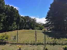 Sofi's Hostel Monteverde