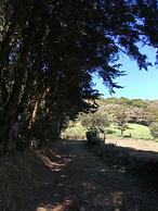 Sofi's Hostel Monteverde