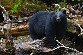 Haida House at Tllaal