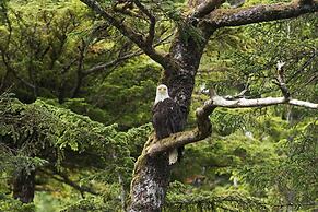 Haida House at Tllaal