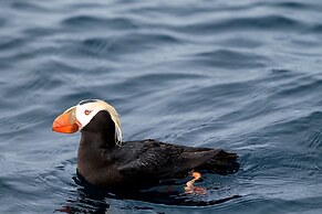 Haida House at Tllaal