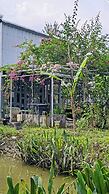 Coco Happy Farm