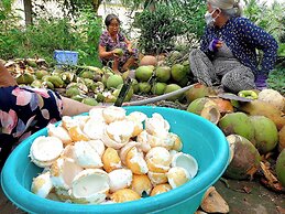 Coco Happy Farm