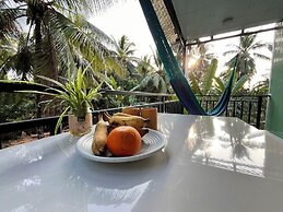 Coco Happy Farm