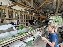 Coco Happy Farm