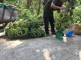 Coco Happy Farm