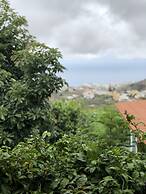 Los Viejitos en Firgas