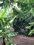 Los Viejitos en Firgas