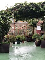 Los Viejitos en Firgas