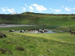 Les Hauts de Hurlevents - Le Buffalo