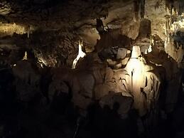 Les Hauts de Hurlevents - Le Buffalo