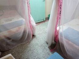 Tarino Bar And Lodging