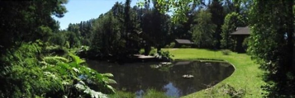 Cabañas - Casa Lago Villarrica