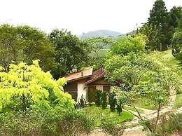 Jardim Suspenso da Babilônia