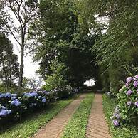 Jardim Suspenso da Babilônia