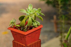 Pousada Jardim da Nova Era