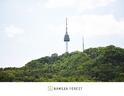 Namsan Forest Myeongdong Station