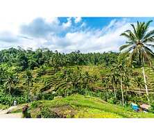 Padi-Padi Hostel & Bar