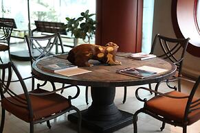 Benikea Mountain and Sea Daepo Port