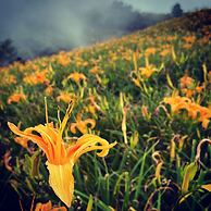 Grandma Tso's Home B&B