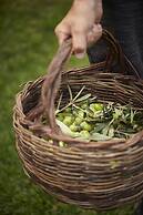 Cascioni Eco Retreat -  Suites with Private Pool