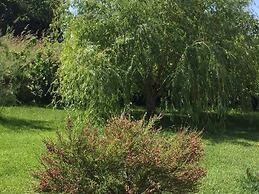 Villa Palagiani Inside