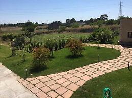 Villa Palagiani Inside