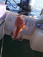 Villa Jadranka Privlaka