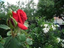 Villa Jadranka Privlaka