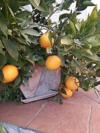 Villa Jadranka Privlaka