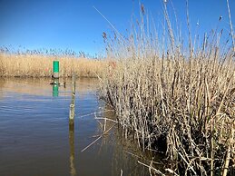6 Pers House Marijke With Winter Garden and Direct Access to the Lauwe