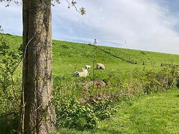 6 Pers Sunny House With Equipped Terrace Behind a Dike at Lauwersmeer
